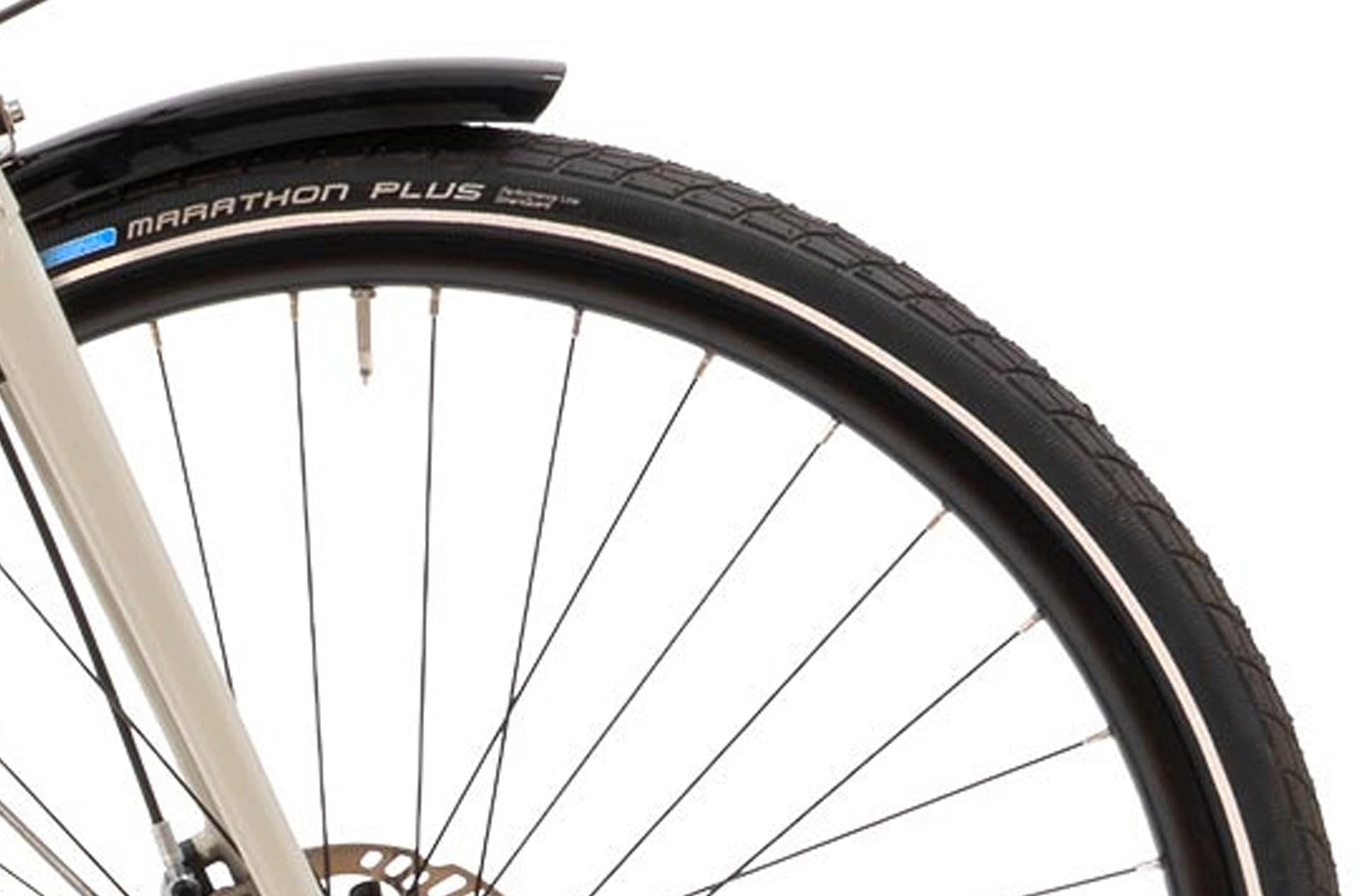 Black Rims and Spokes